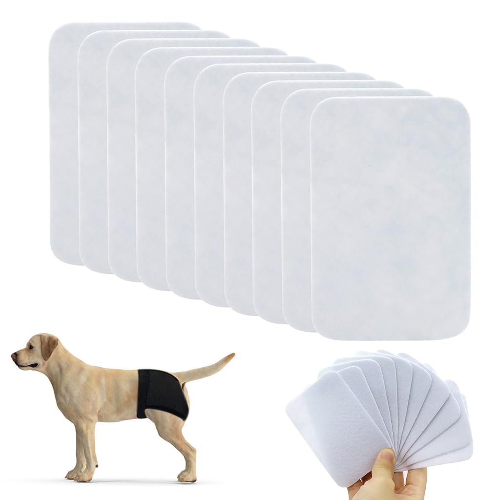Qpets® Pet Use Breathable Reusable Dogs Diapers Female with 6 Absorbption Cotton Pad Comfort Reusable Doggy Diapers for Female Dog, Puppy(L, Recommended Waist 15.7”-19.2”)