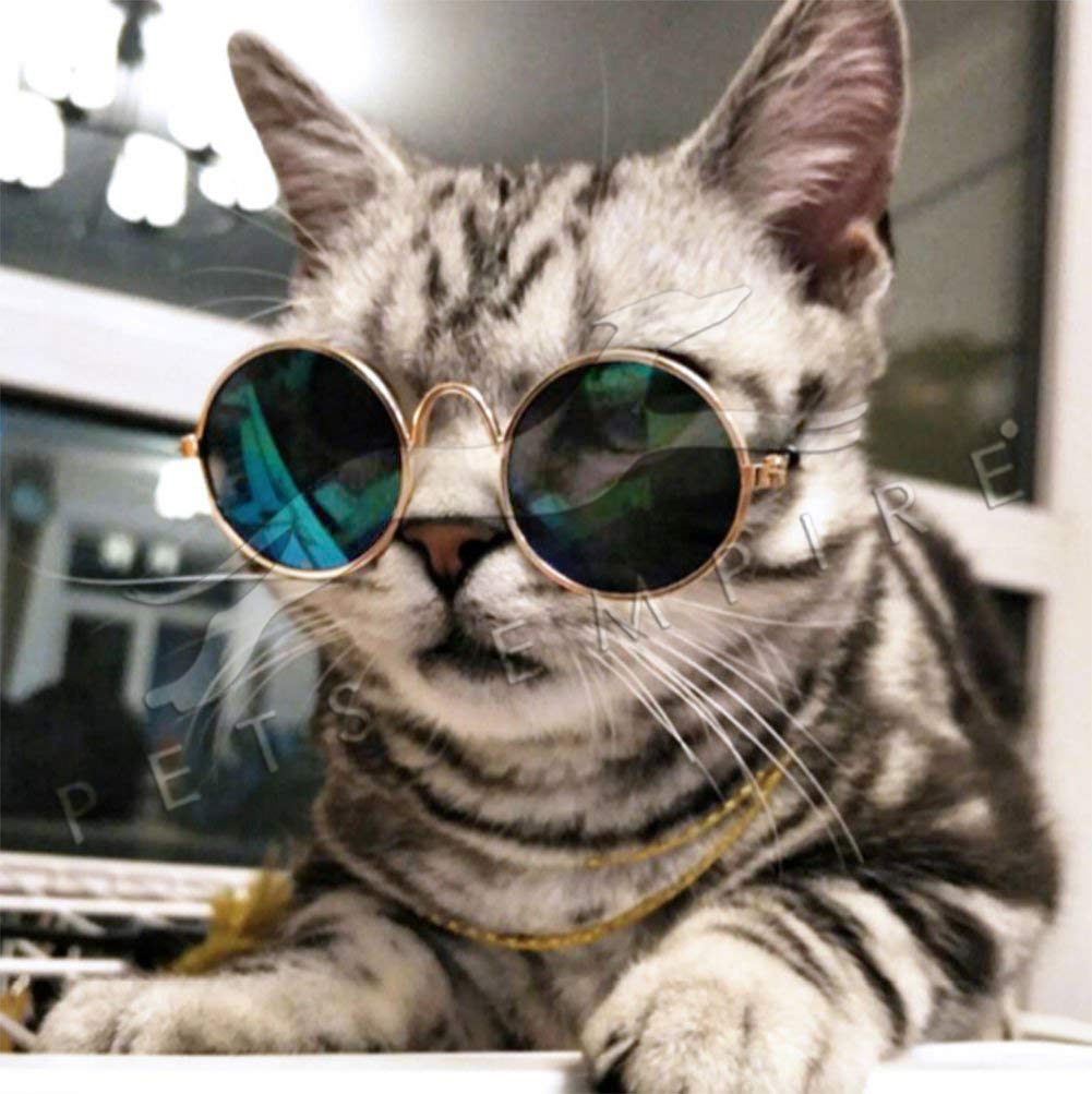 Pets Empire Pet Cat Dog Fashion Sunglasses UV Sun Glasses Eye Protection Wear-1 Piece Color May Vary
