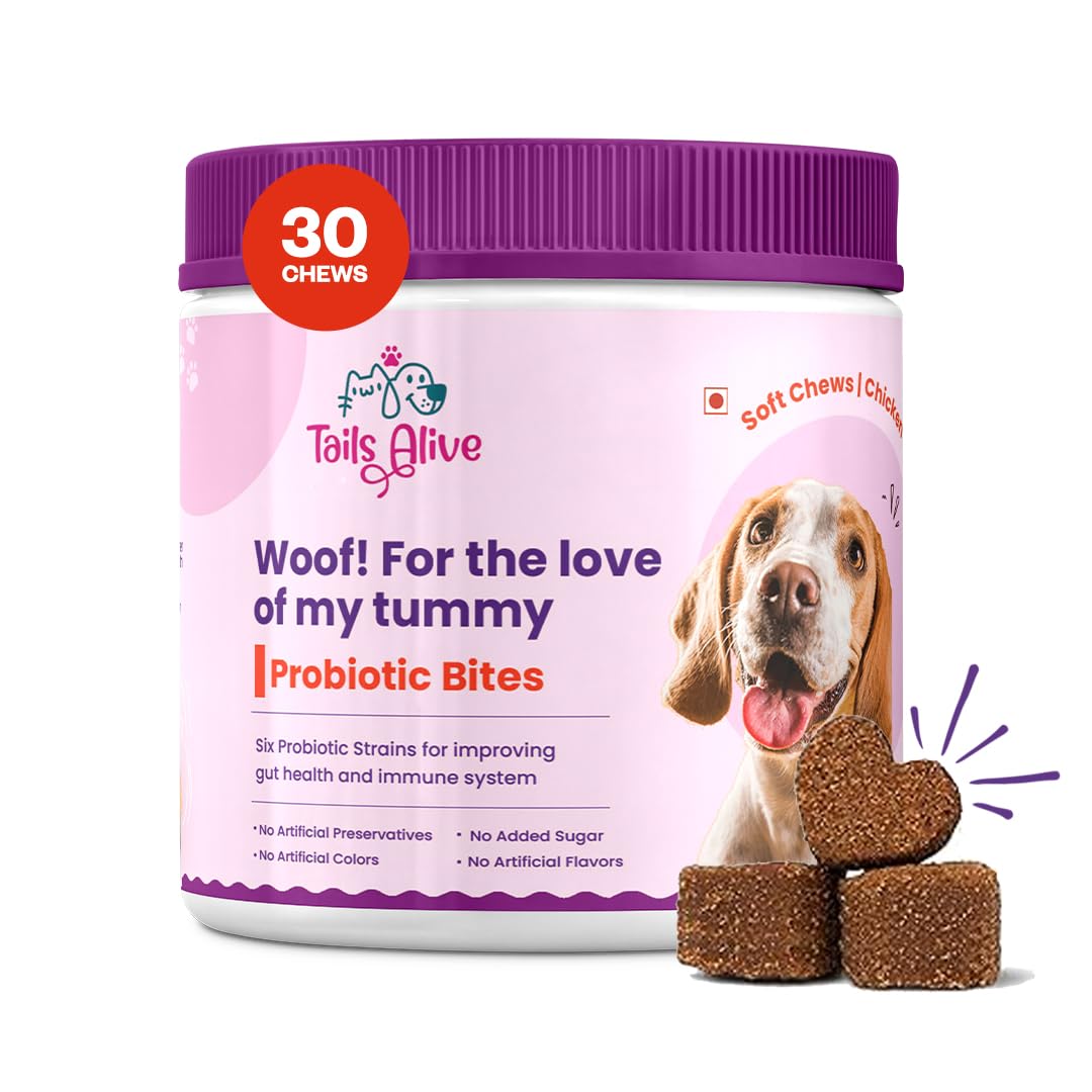 Probiotic Soft Chews Supplement for Dogs | Six Probiotic Strains for Gut Health & Digestion | Chicken Flavor | Supports Immune Function | 30 Soft Chews