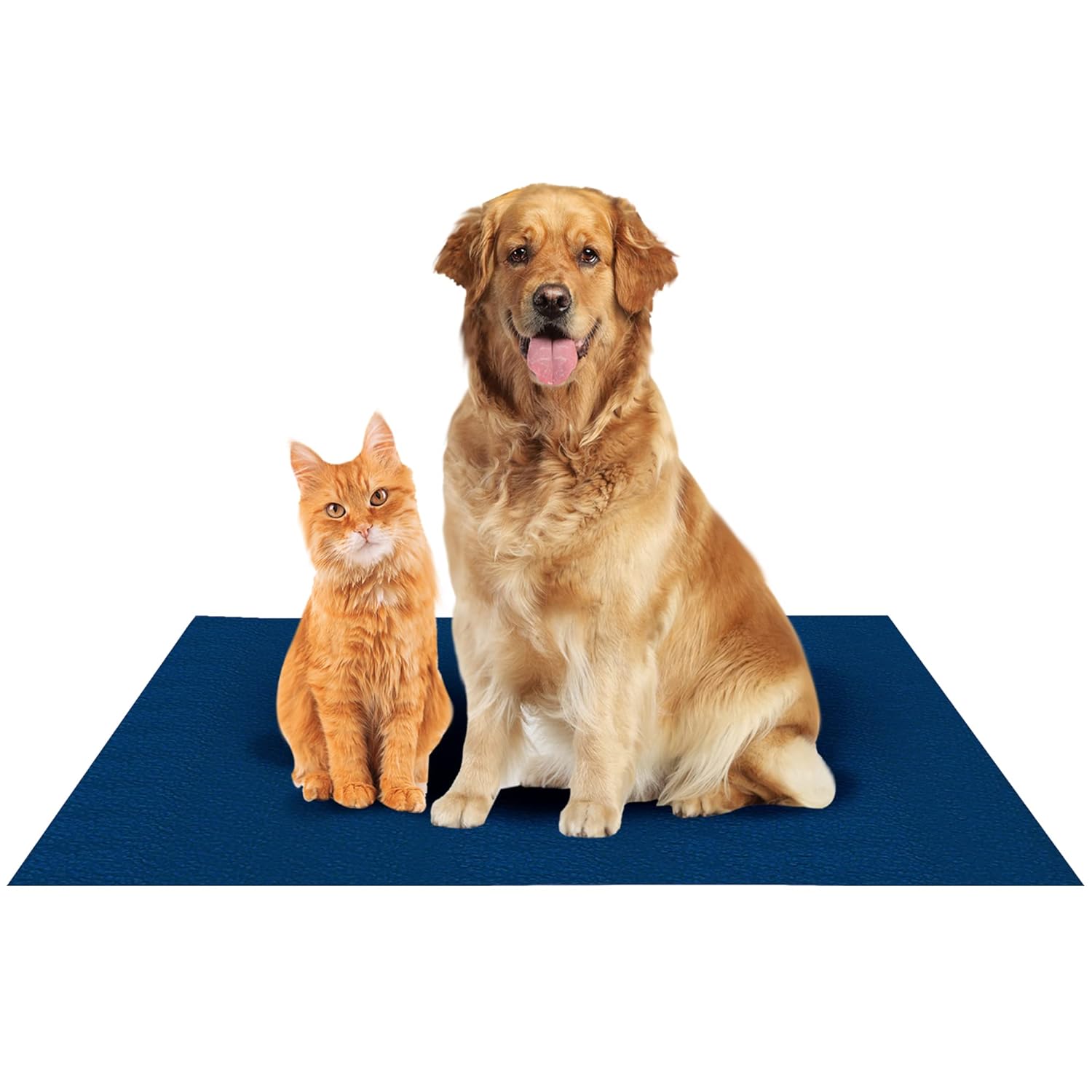 Waterproof Reusable Washable Pee Pads for Dogs (Medium, Dark Sea Blue)