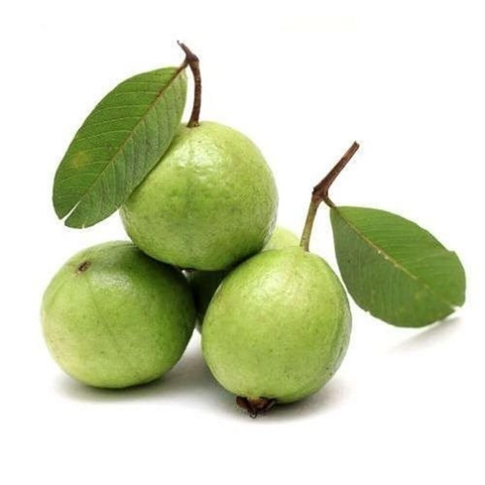Fresh Guava (Amrudh) Fresh,500 Gram