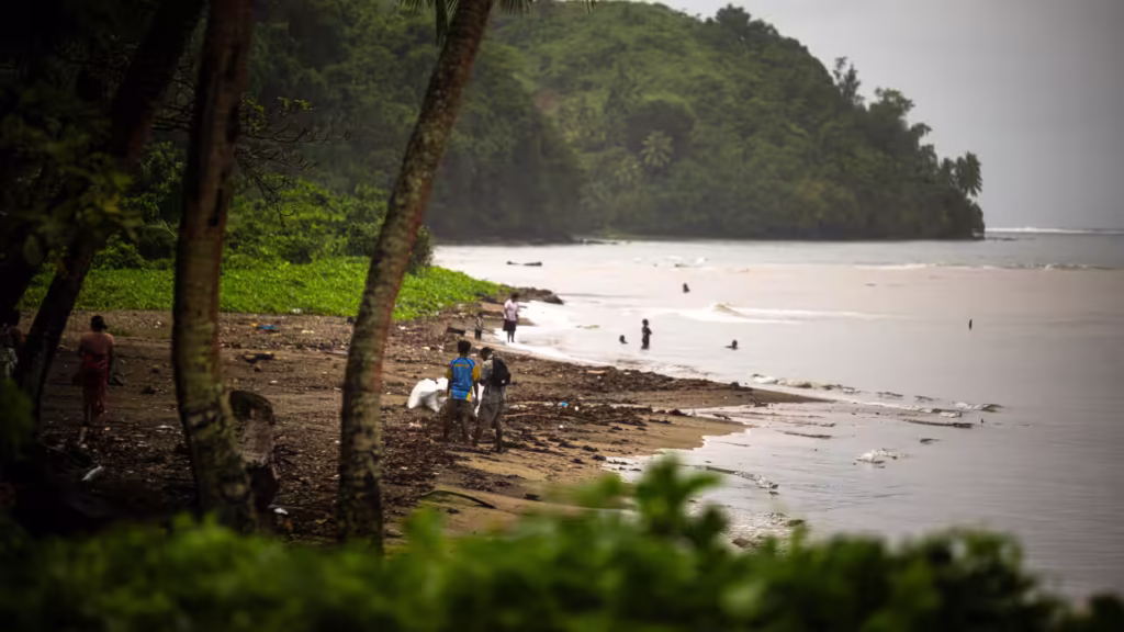 The shoreline of a beach, with lush green trees in the distance.