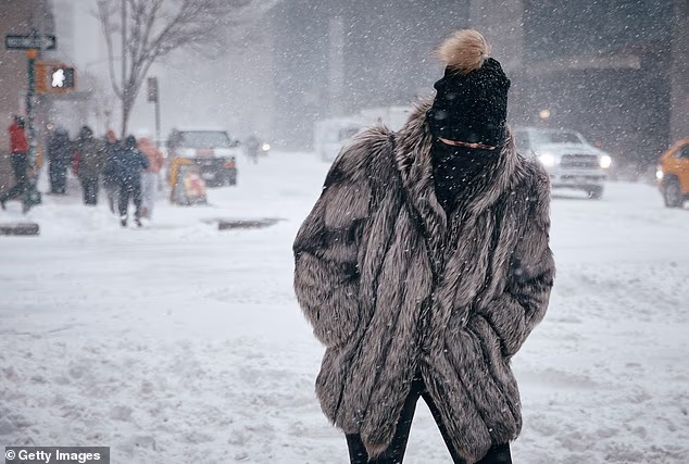 A woman battles cold and snow in New York City in January 2026. New forecasts suggest the Northeast could face another winter of extreme snowfall (Stock Image)